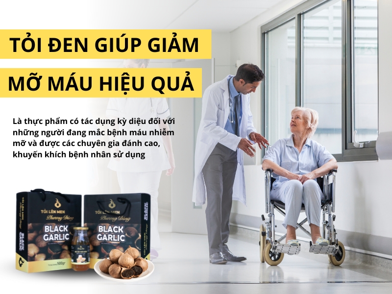 Tỏi Đen Giảm Mỡ Máu Hiệu Qủa